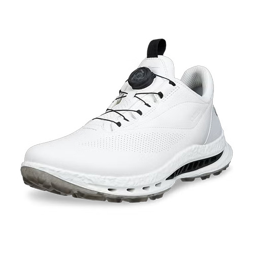 ecco（エコー） BIOM C5 ボア スパイクレス ゴルフシューズ EG132614