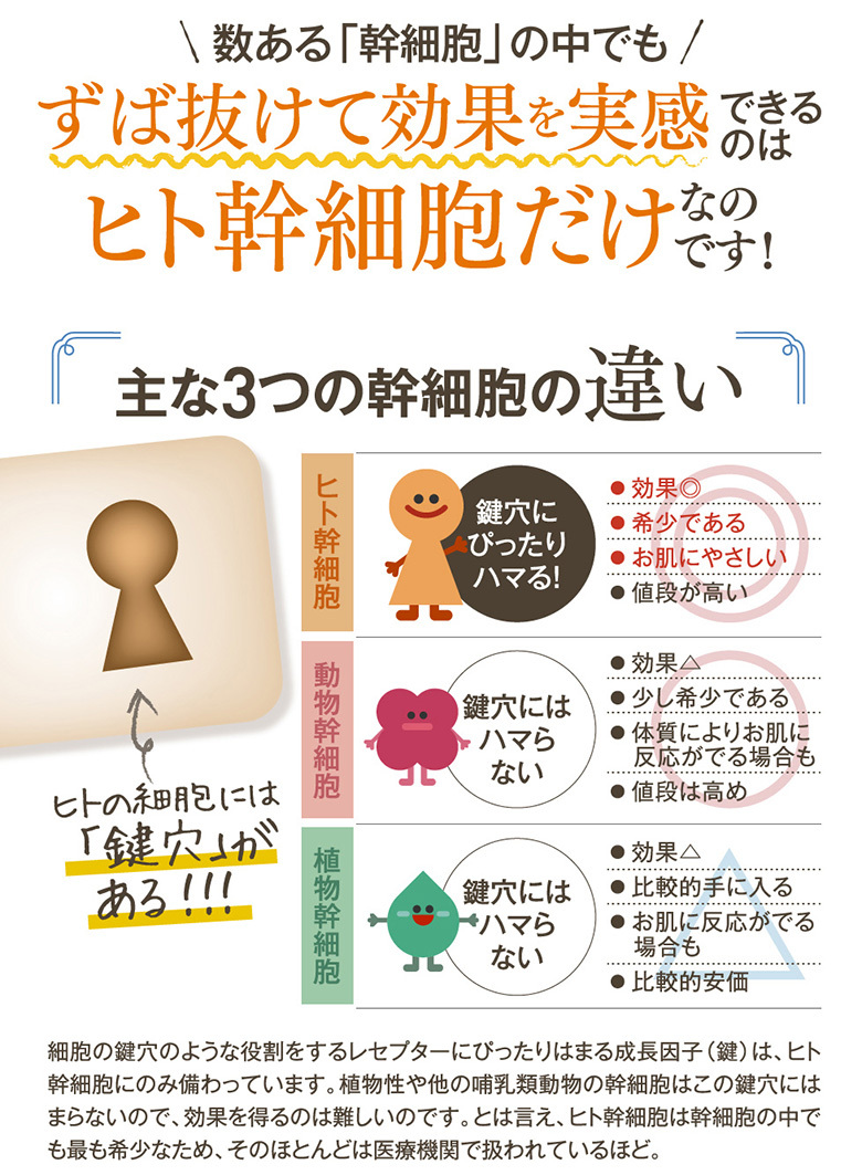 サラ アミティエ モイストバランス クリーム 30ml ヒト幹細胞 しわ 乾燥 敏感 老化 シワ たるみ 毛穴 ニキビ跡 美白 年齢肌のお悩みに アトミックゴルフ 通販 Paypayモール