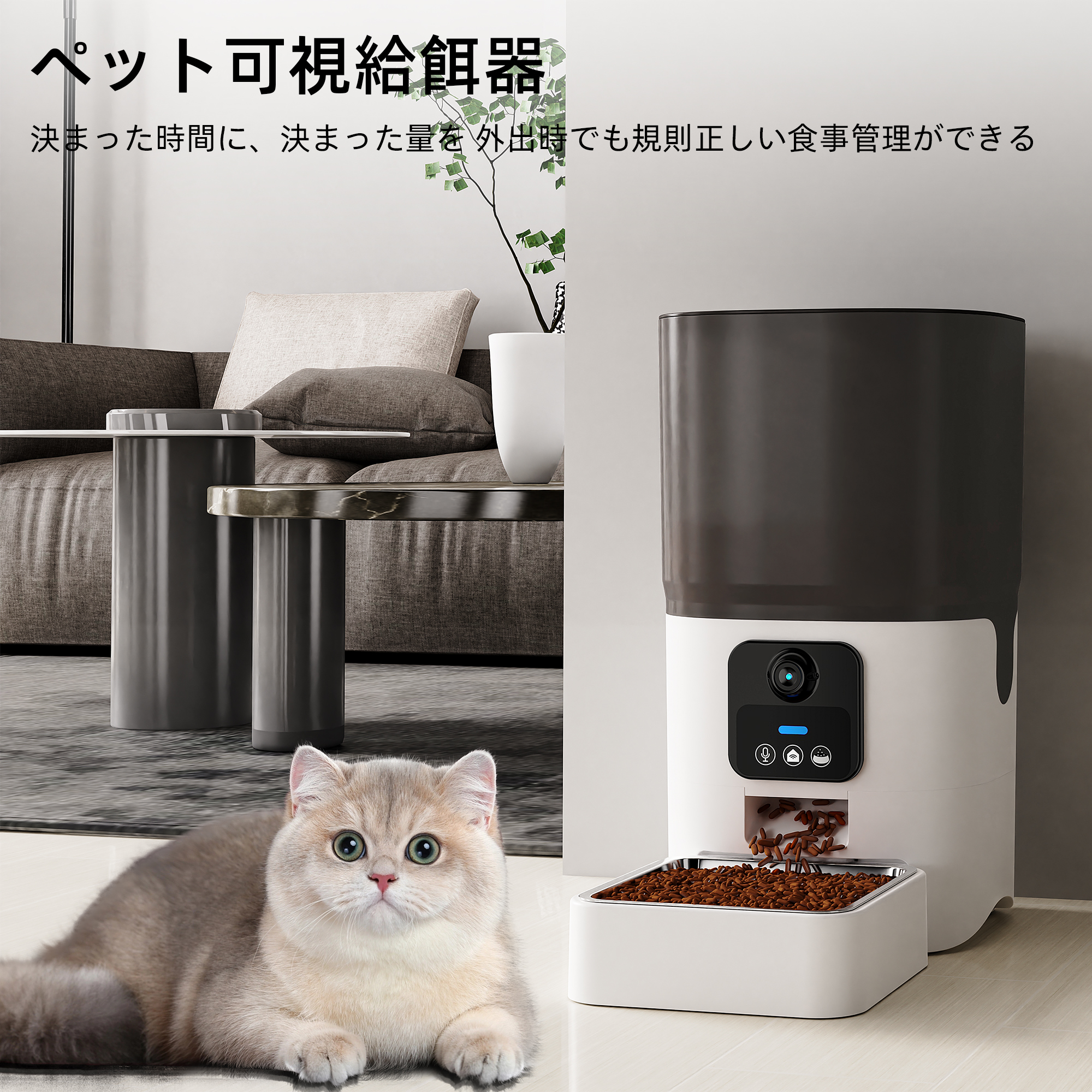 自動給餌器 給餌 自動餌やり機 猫 中小型犬用 ビデオ+タイマー