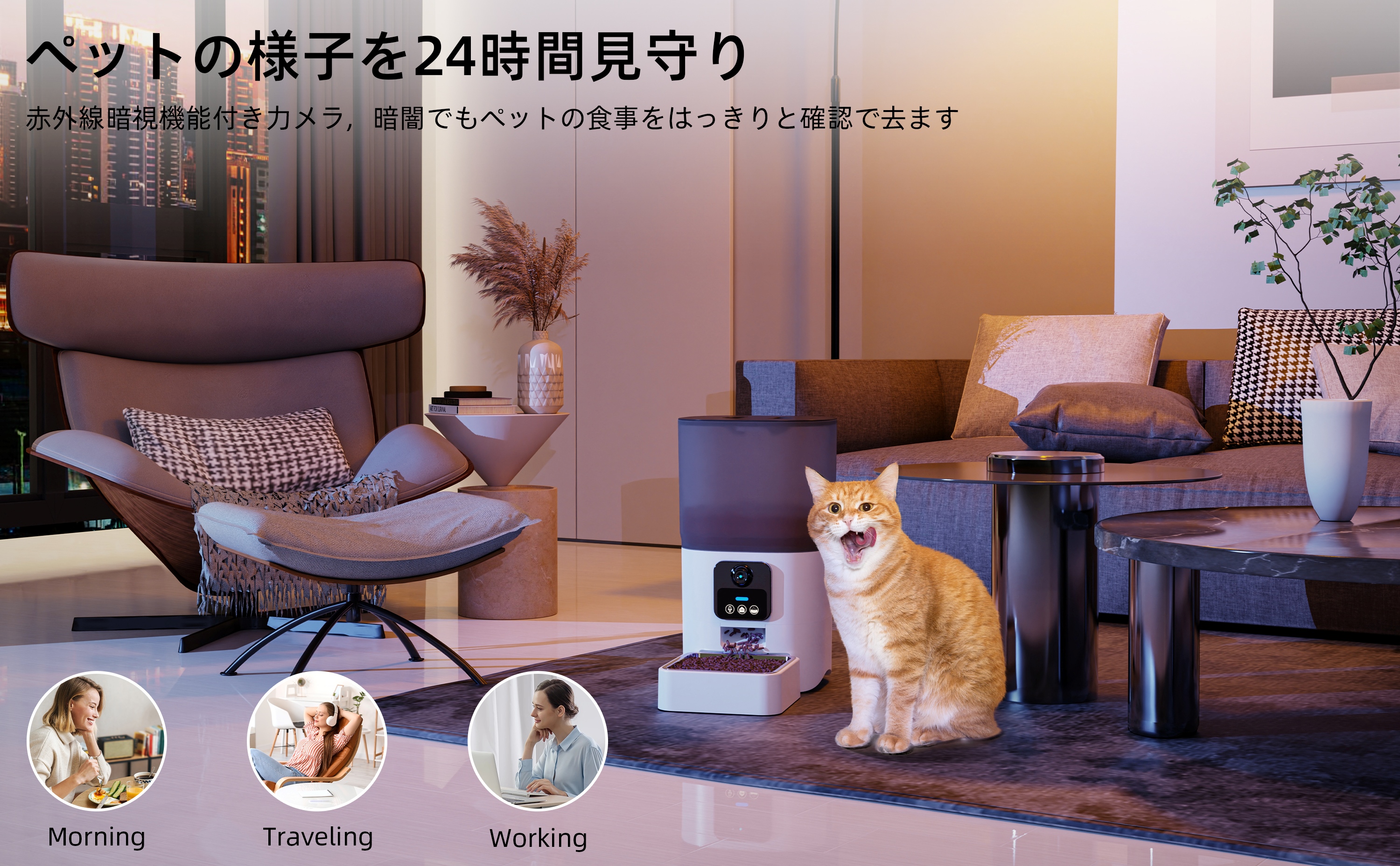 自動給餌器 給餌 自動餌やり機 猫 中小型犬用 ビデオ+タイマー