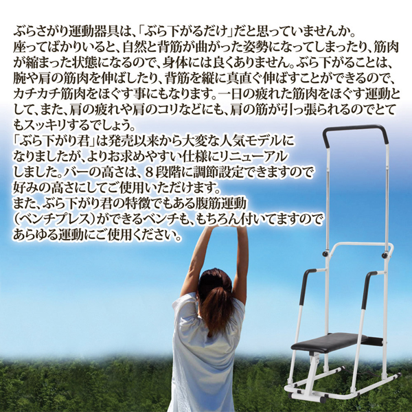 ぶら下がり健康器 ぶら下がり 効果 ベンチシート付 健康器具