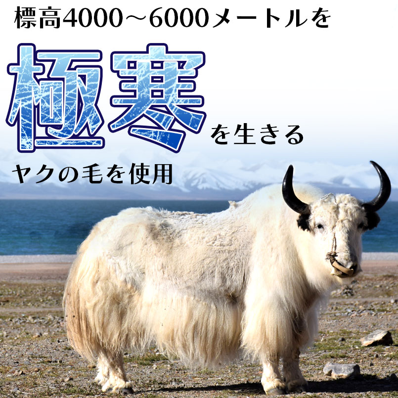 靴下 ヤク ウール ソックス 自然素材 選べる...の詳細画像2