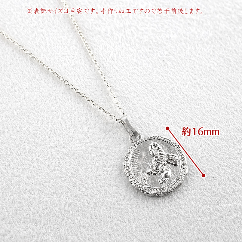 プラチナ ネックレス 星座 pt999 レディ...の詳細画像5