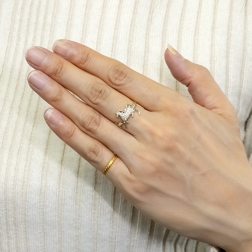 婚約指輪 プラチナ リング 馬 ホース ダイヤモンド 0.10ct レディース 幅広 太め pt900 幅広 指輪 ピンキーリング お守り 人気 シンプル 送料無料 セール saleの画像