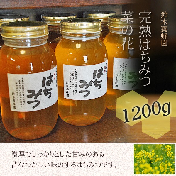 菜の花蜂蜜 1200g 国産はちみつ 蜂蜜 完熟はちみつ 100%純粋 ハチミツ　愛知県 渥美半島産はちみつ 　生産者直送