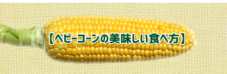 山梨県ヤングコーン、ベビーコーン　ゴールドラッシュ150本 ゴールドラッシュの通販｜ヤングコーン｜食べチョク｜産地直送