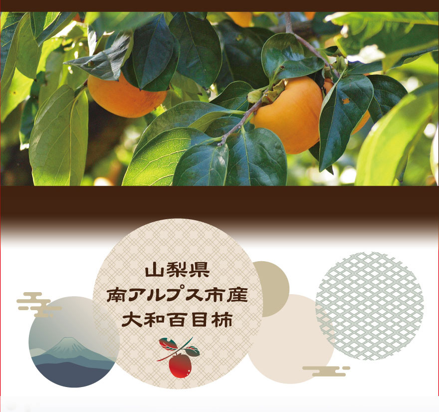 山梨県 南アルプス市産 大和百目柿