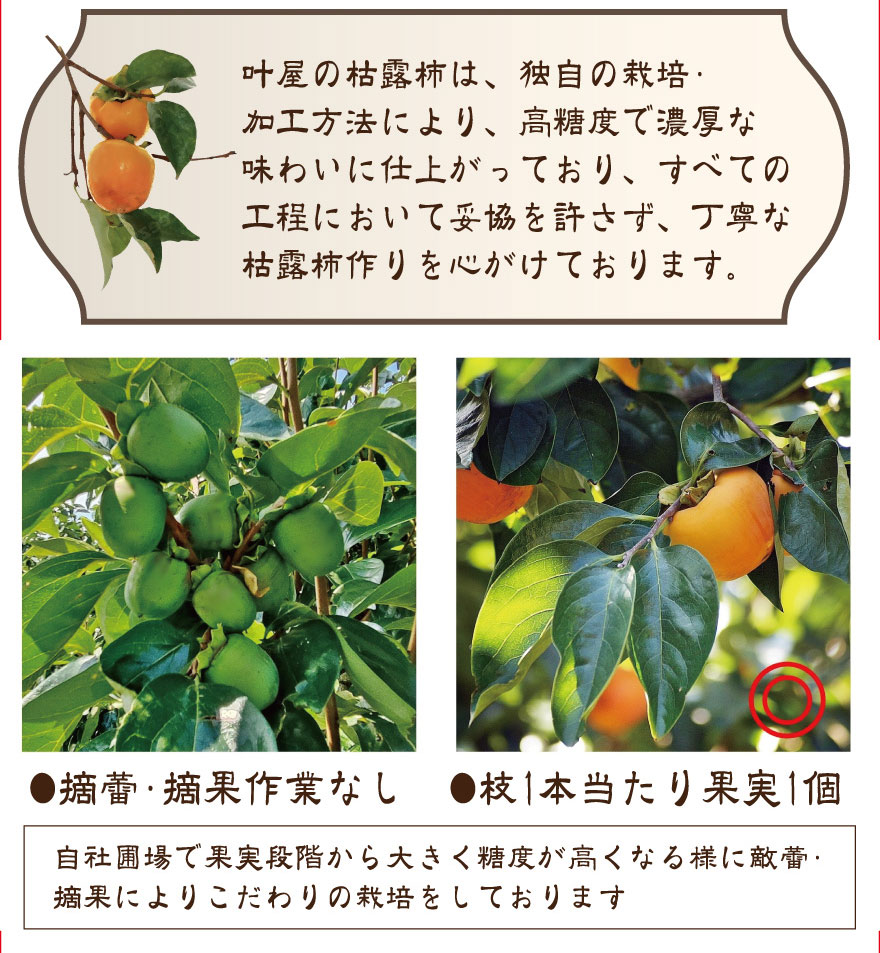 摘蕾・摘果によるこだわりの栽培