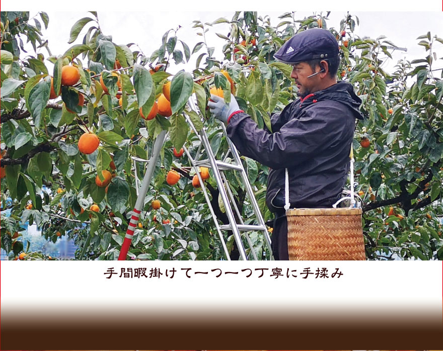 手間暇掛けて一つ一つ丁寧に手揉み