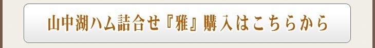 雅