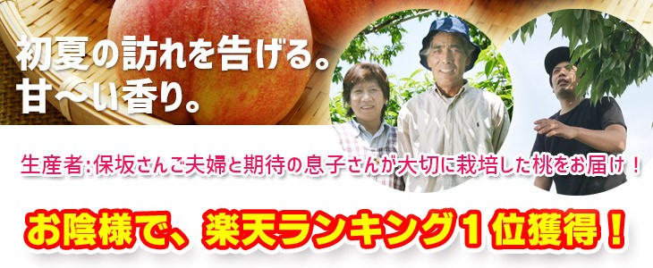 日川白鳳