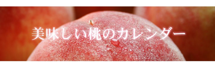 送料無料