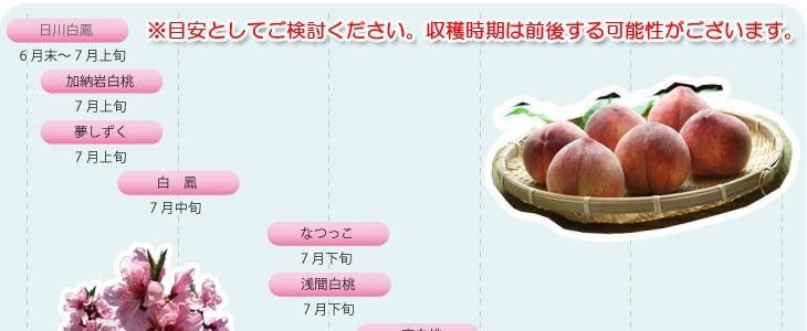 さだピーチファーム