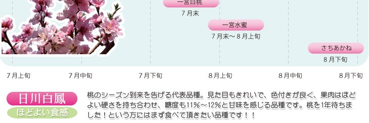 ゆうパック