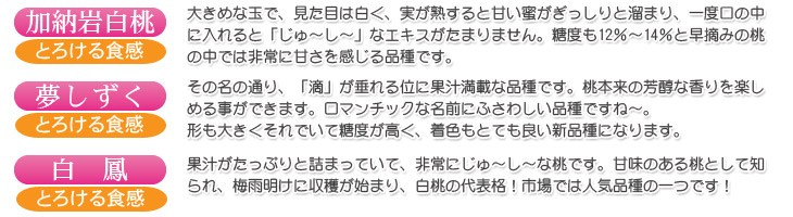 産地直送