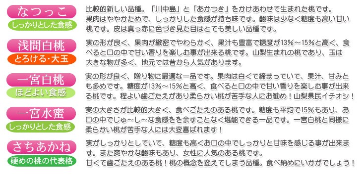 山梨県笛吹市一宮町