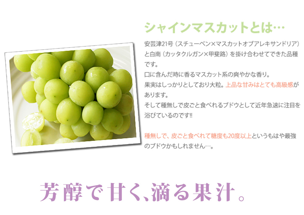シャインマスカット 粒売り 2パック入り」 たっぷり約1.2kg 山梨県 の