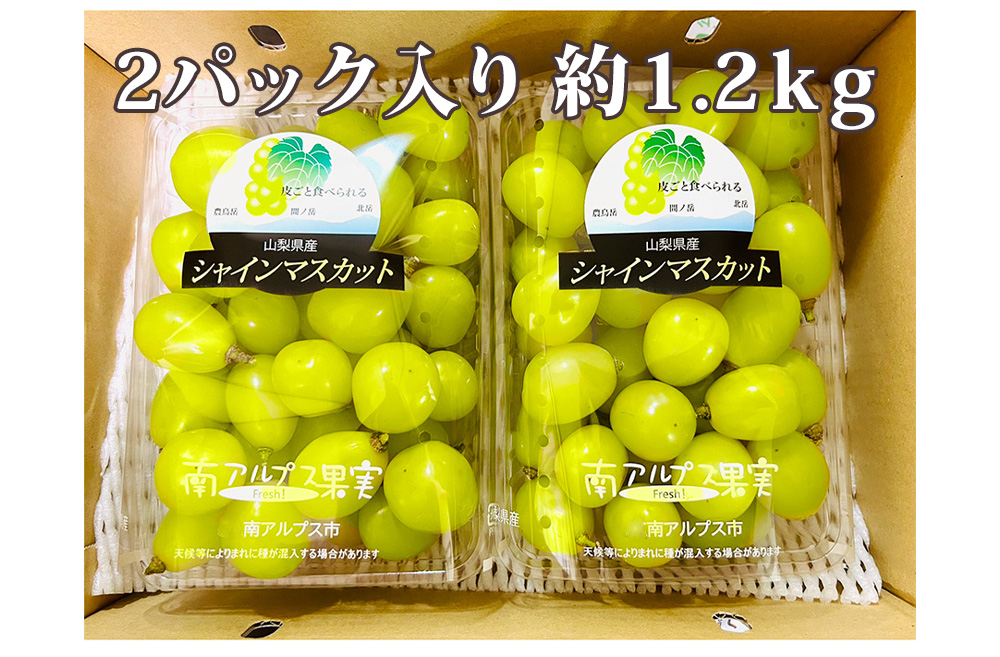 シャインマスカット 粒売り 2パック入り たっぷり約1.2kg 山梨県の高級