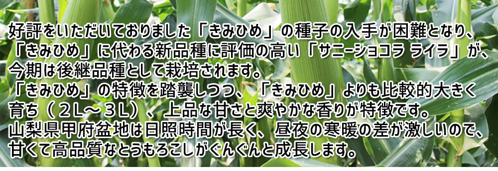 山梨県甲府市中道地区