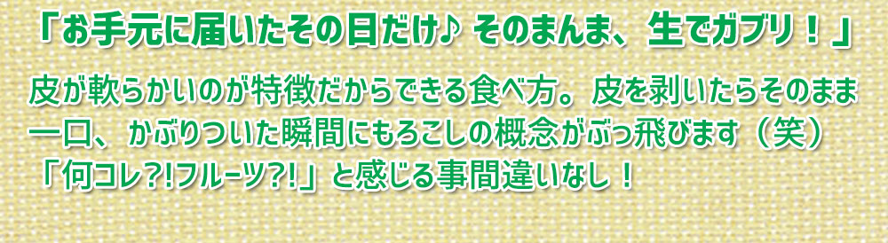 生食もOK