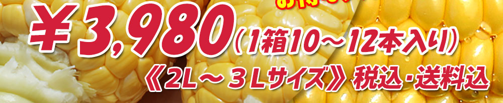 2L〜3Lサイズ5〜6本入り