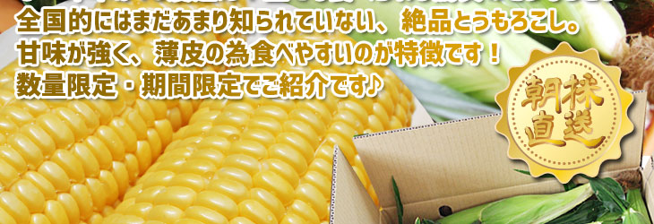 甘々娘　より甘い