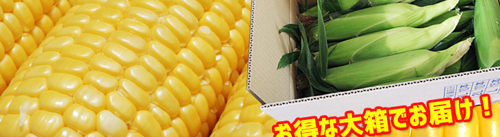 ゴールドラッシュ　より美味しい