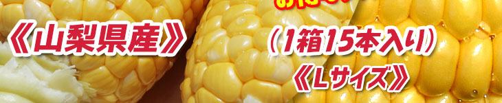 2L〜3Lサイズ5〜6本入り