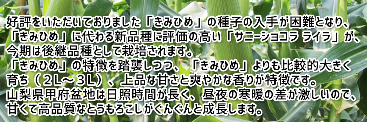 山梨県甲府市中道地区