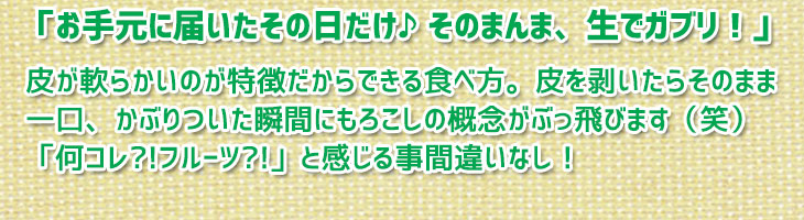 生食もOK