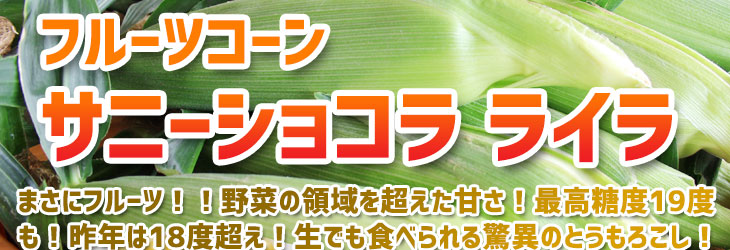 フルーツコーンサニーショコラ ライラ　とうもろこし　トウモロコシ