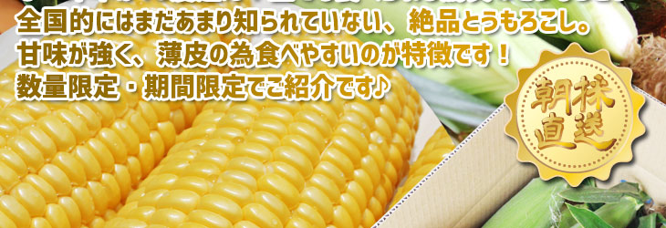 甘々娘　より甘い