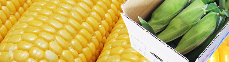 ゴールドラッシュ　より美味しい