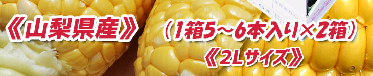 2L〜3Lサイズ5〜6本入り