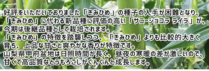 山梨県甲府市中道地区