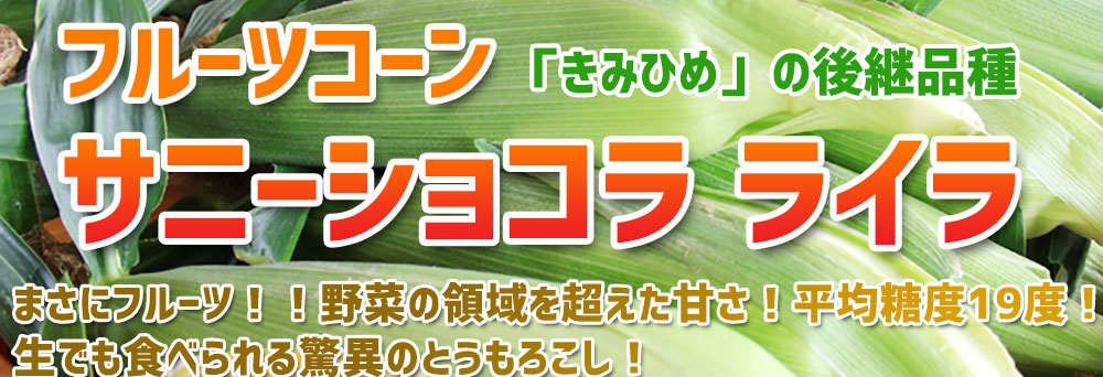フルーツコーンサニーショコラ ライラ　とうもろこし　トウモロコシ
