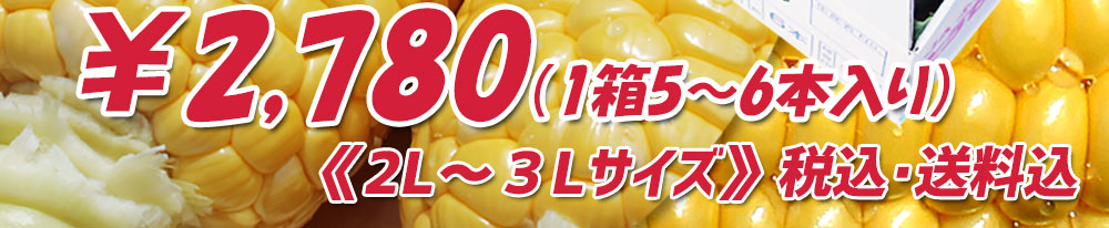 2L〜3Lサイズ5〜6本入り
