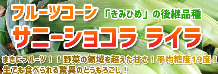 フルーツコーンサニーショコラ ライラ　とうもろこし　トウモロコシ