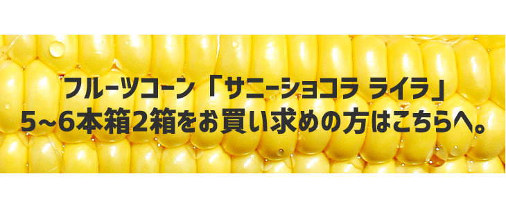 もろこし