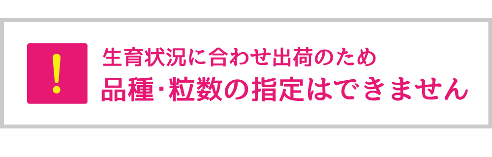生育状況に合わせて出荷