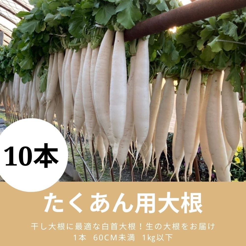 即発送可能】 赤城おろし 葉付き干し大根 16Kg 秘伝の合わせぬか付