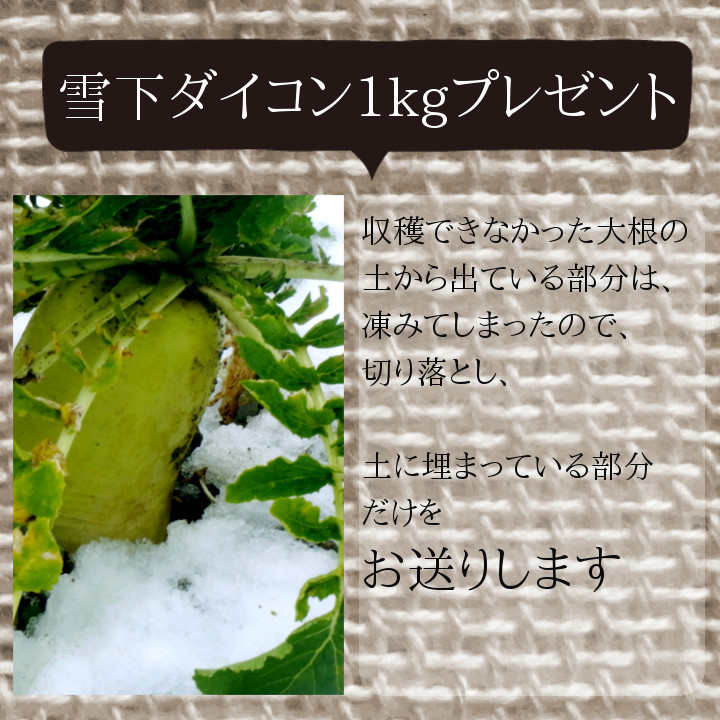 雪下大根を1キロプレゼント！