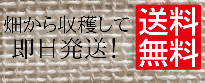 収穫して即発送、送料無料！