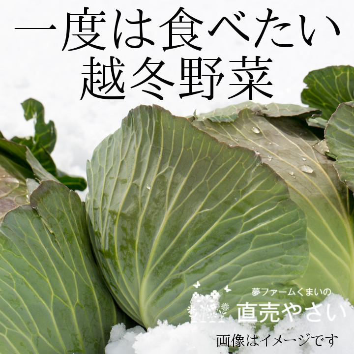 一度は食べたい越冬野菜