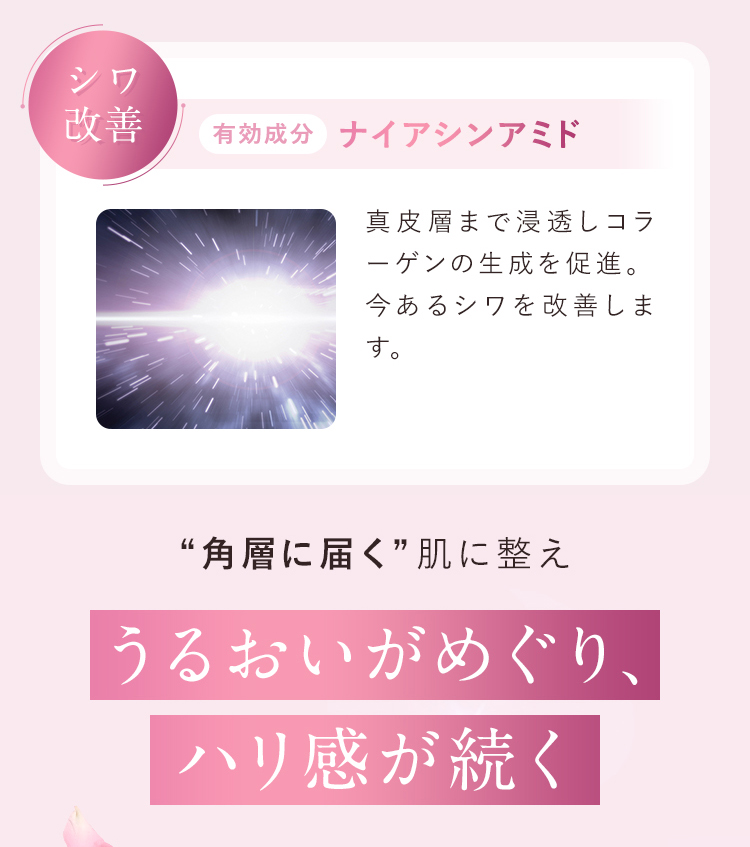 【ディズニー限定デザイン 登場！】アテニア 公式 化粧水 ドレスリフト ローション 医薬部外品 Attenir エイジングケア スキンケア 保湿 シワ改善 肌ハリ | Attenir | 14