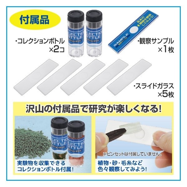 夏休み 自由研究 理科 家庭学習 学校教材 12種セット 中学校 プレパラート 顕微鏡 小学校用プレパラートセット 植物 教科書 微生物 生物 準拠