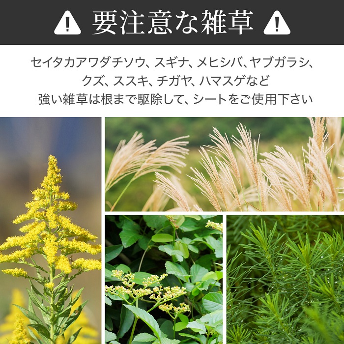 超美品の 防草シート 2m 50m Uv剤入り 人工芝 雑草 芝生 安い 草 庭 雑草シート Diy ロール 雑草防止シート 砂利 芝 シート 効果 雑草駆除 雑草対策