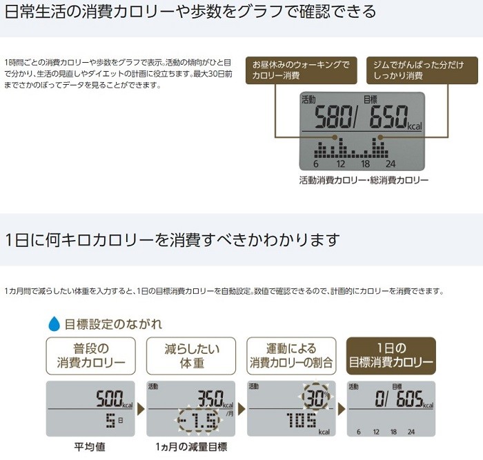 消費 500 キロカロリー