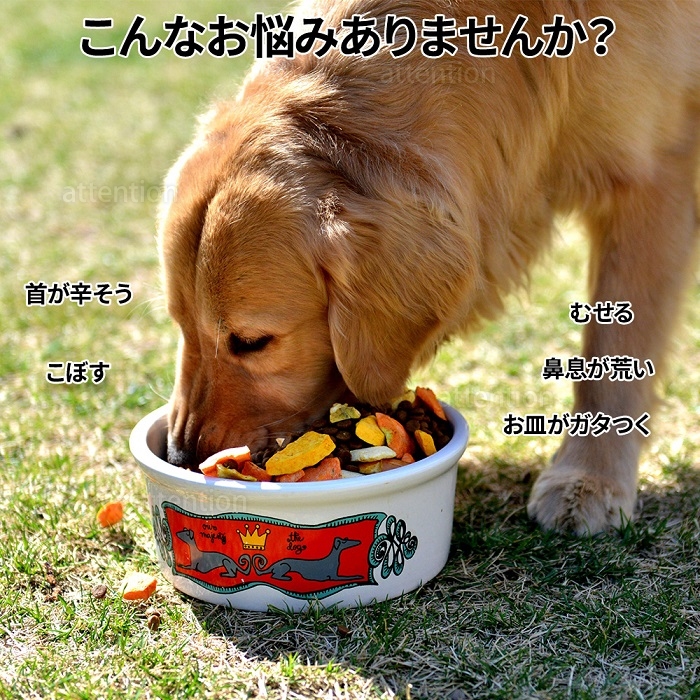 【選べる♪カラー&くり抜き】ペットフードスタンド　ごはん台【病気予防・健康維持】 ペット 食器台 食器 食器スタンド 犬 猫 レビュー特典 高さ