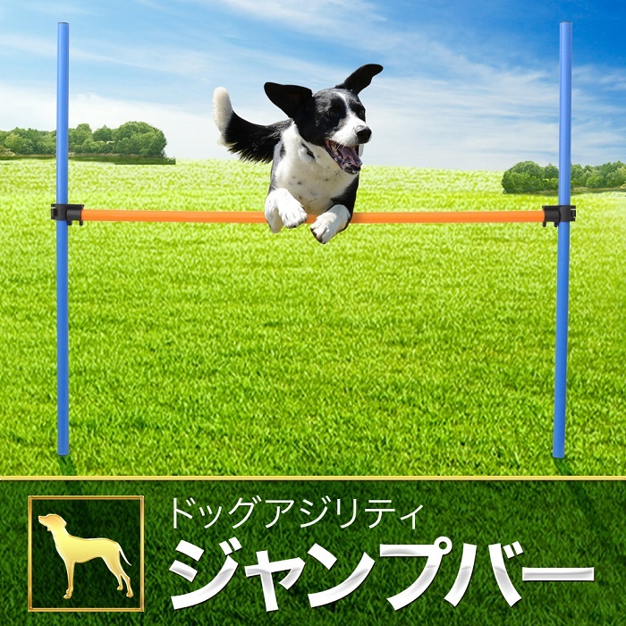 ドッグアジリティ トレーニング アジリティー ペットアジリティ 犬 ジャンプバー ハードル 犬用 ドッグ 障害物 柵 競技 競争 練習 ジャンプ  :000000128823:attention - 通販 - Yahoo!ショッピング